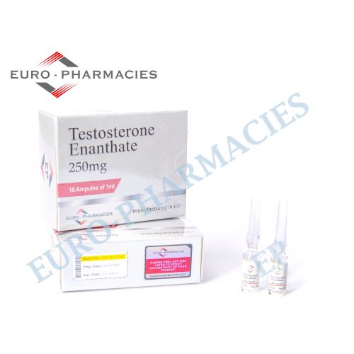 Testosterone Enanthate amp