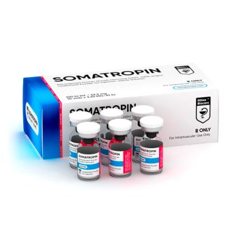 (HB) HgH Somatropin ( Human Growth Hormone ) 100IU - Weight loss and fat burner (HB) HgH Somatropin ( Human Growth Hormone ) 100IU