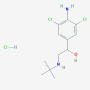 Clenbuterol