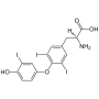 T4 ( Levothyroxine )