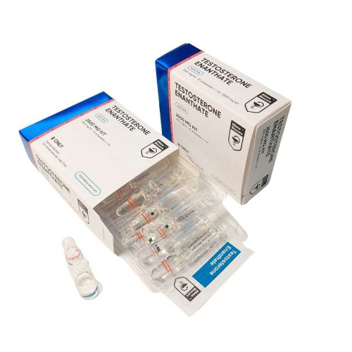 Testosterone Enathate (ampoules)