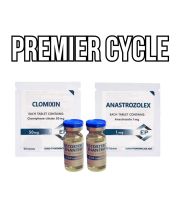 Premier cycle