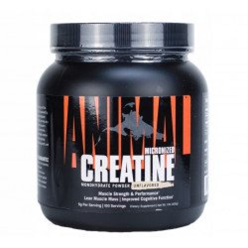 Créatine Micronisée 500g